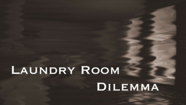 Laundry Room Dilemma Free Download